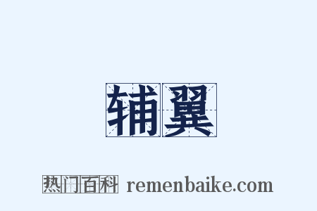 辅翼是什么意思的图片